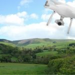 drones can save forests feature