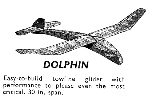 Dolphin model plane