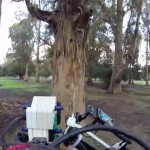 skydio avoiding a tree