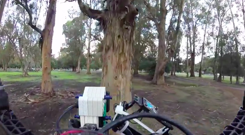 skydio avoiding a tree