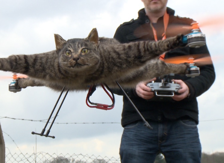 It Started With a Dead Cat Drone - Now A Taxidermy Drone Company