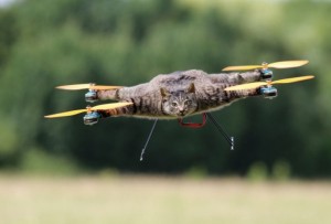 cat drone orvillecopter