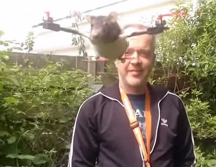 It All Started With a Dead Cat Drone Now A Taxidermy Drone Company