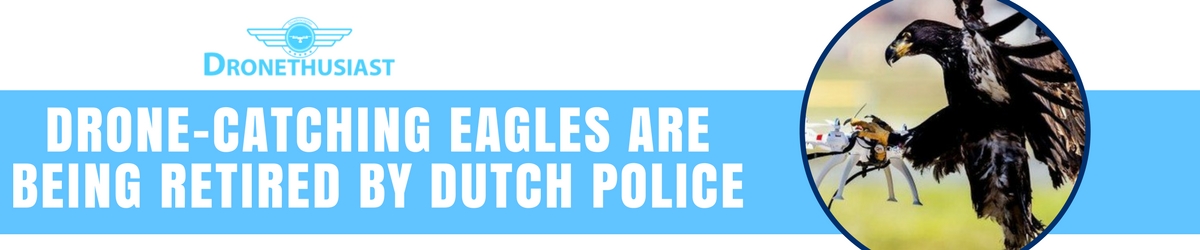 drone catching eagles are being retired by dutch police