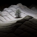 the dying of the light drone film feature