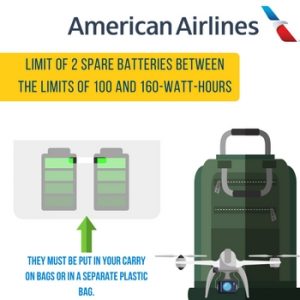 Can you take a lithium ion battery on a plane
