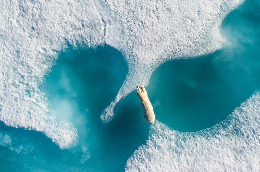 2018 drone photography awards winner