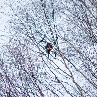 how to get a drone out of a tree 1