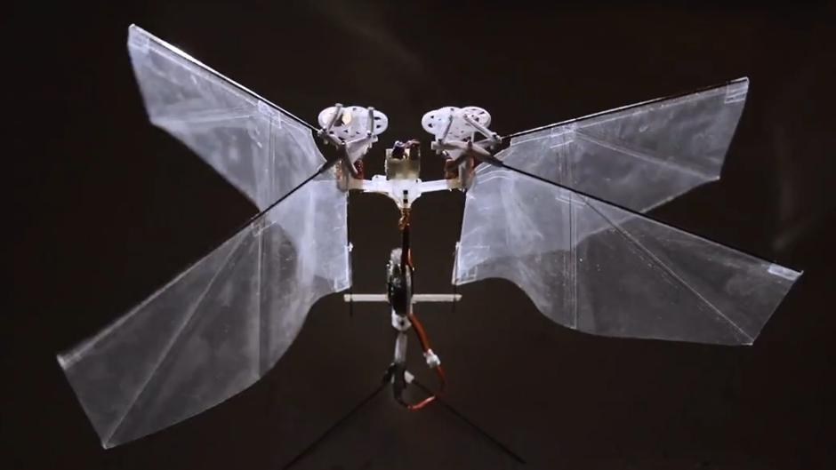 drone fly like insect delfly