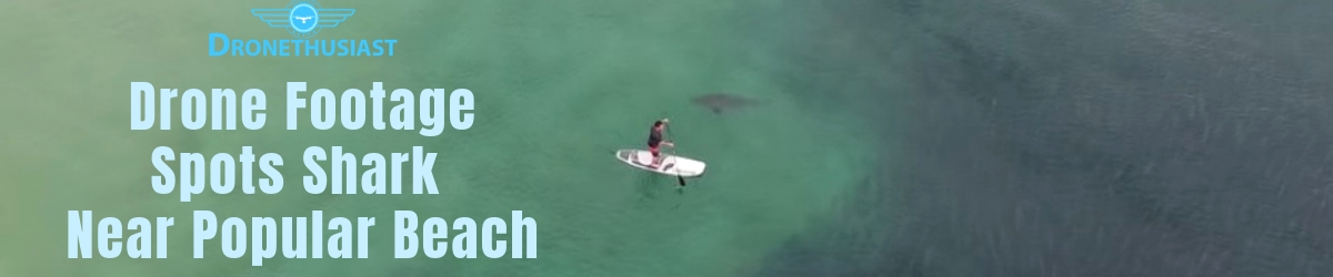 drone footage spots shark near beach