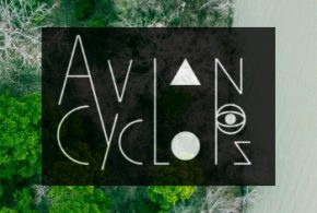 avian cyclops drone filmmaking sean petit