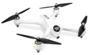 adult drones