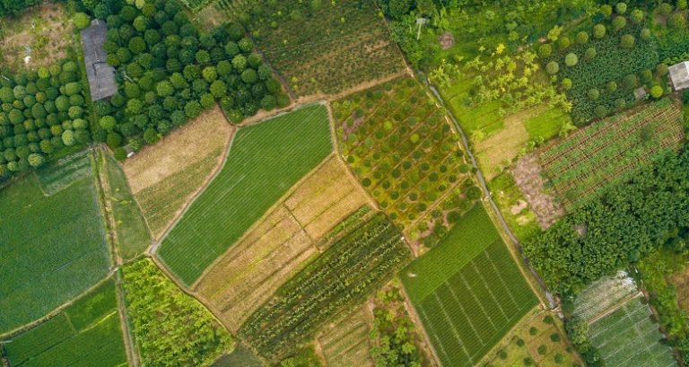 corteva drone deploy app corteva drone deploy app