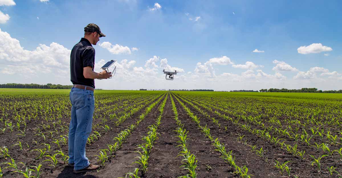 Agricultural Inspections