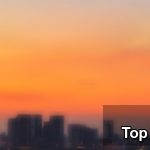 Top 5 Models for Commercial Use