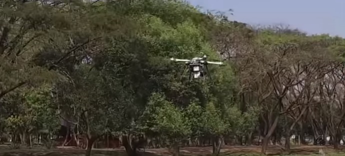 tree planting drones mangrove