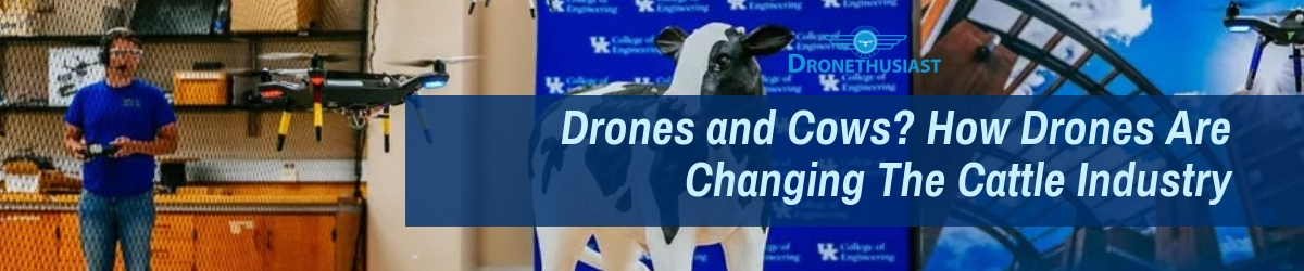 Drones and Cows_ How Drones Are Changing The Cattle Industry