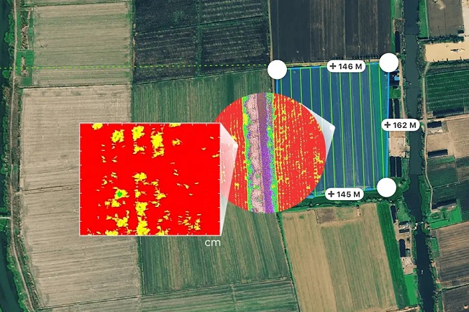 dji p4 multispectral imaging